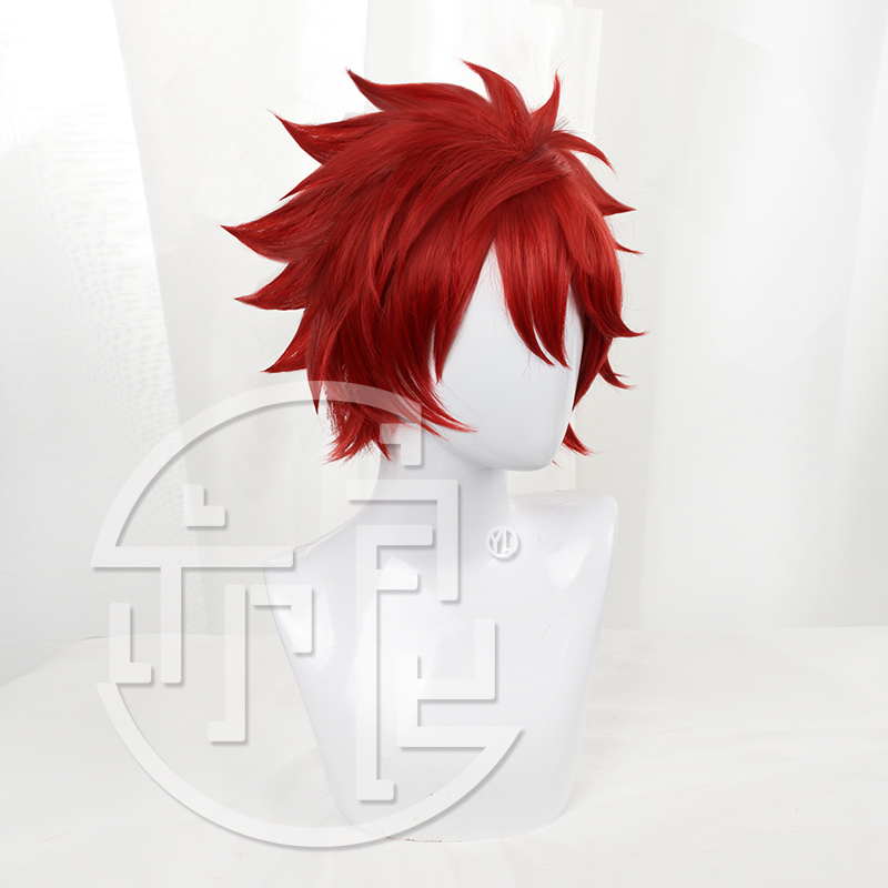 Anime SK8 the Infinity Reki Pa - Anime Cosplay With Red Hair recensione e prezzo