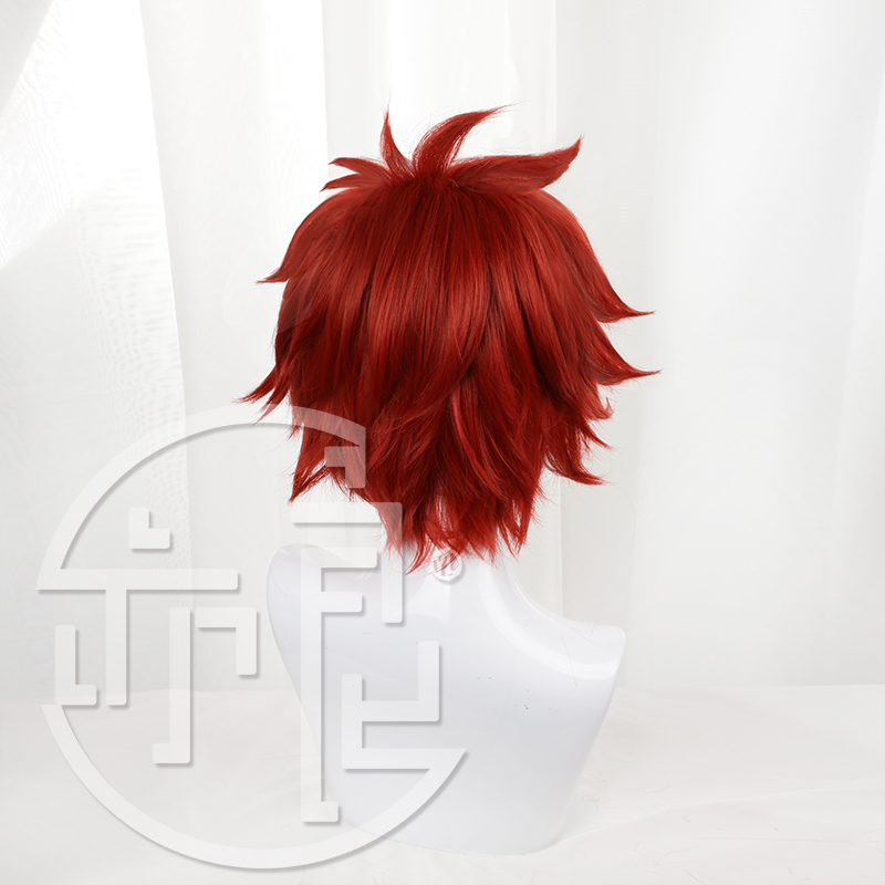 Anime SK8 the Infinity Reki Pa - Anime Cosplay With Red Hair recensione e prezzo